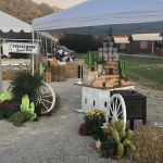 Mid-Rivers Equine Centre