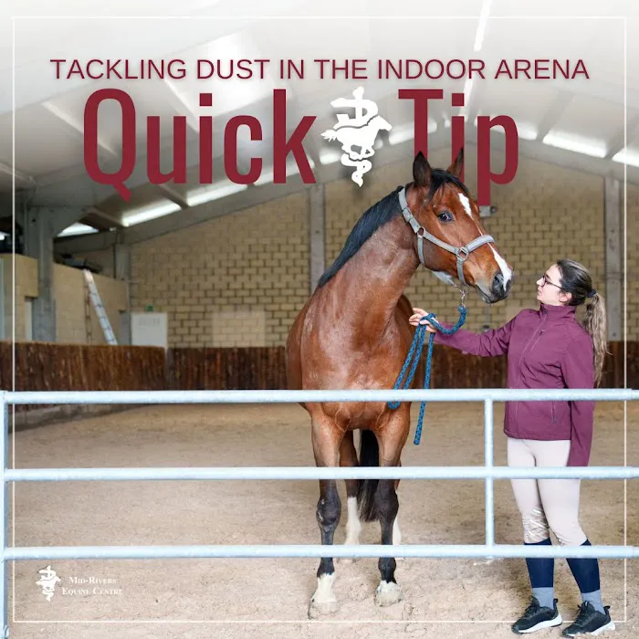 Mid-Rivers Equine Centre Picture 10