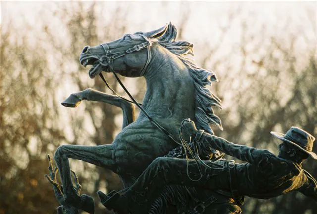 Mid-Rivers Equine Centre Picture 6