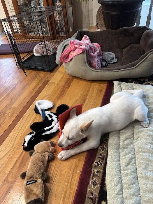 New Melle Animal Hospital Picture 3