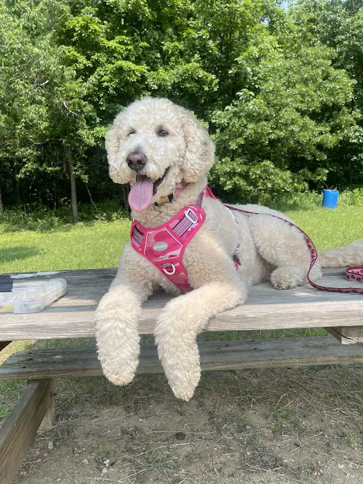 New Melle Animal Hospital Picture 5