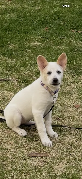 New Melle Animal Hospital Picture 8