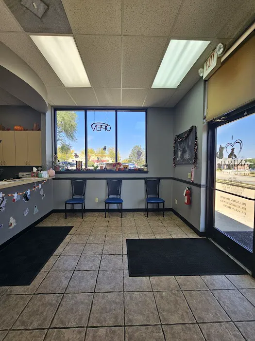 Animal Medical Center Wentzville Picture 6