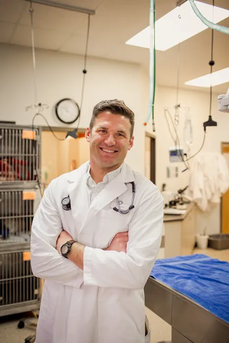 Animal Medical Center Wentzville Picture 3