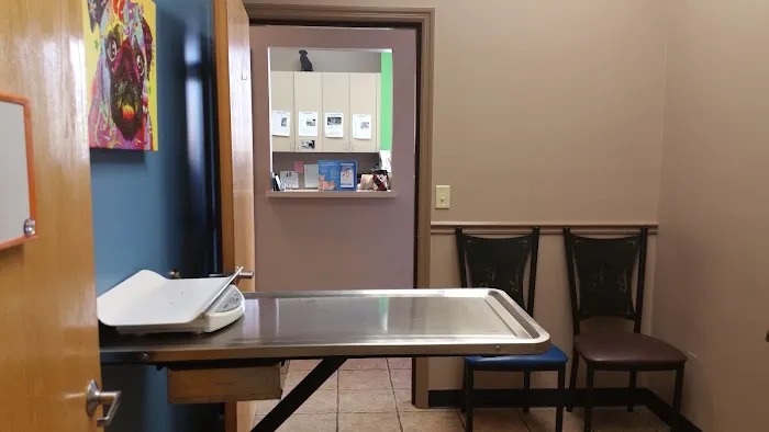 Animal Medical Center Wentzville Picture 9