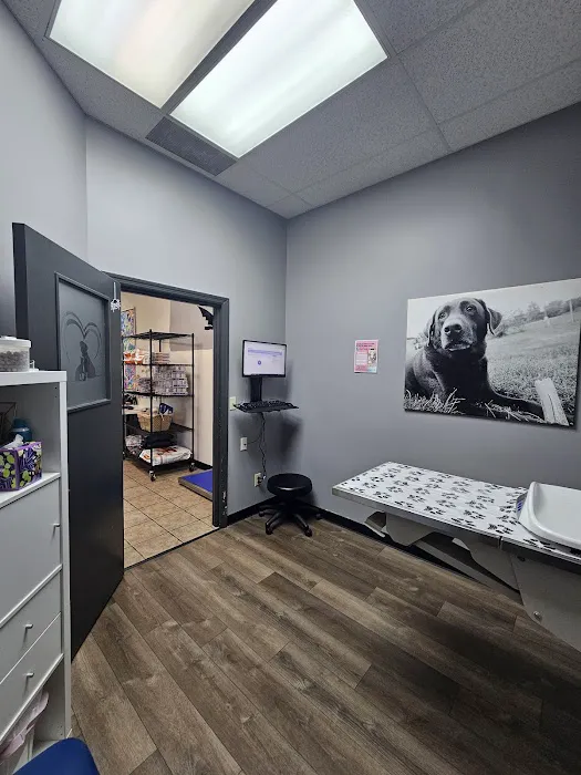 Animal Medical Center Wentzville Picture 7