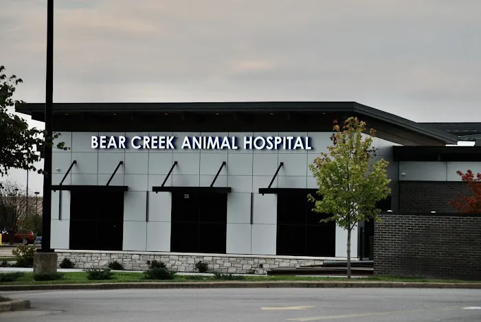 Bear Creek Animal Hospital Picture 4