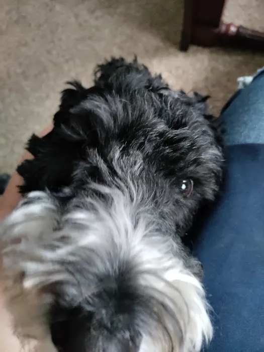 Bear Creek Animal Hospital Picture 3