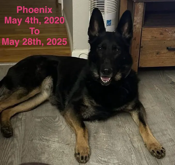 Bear Creek Animal Hospital Picture 7