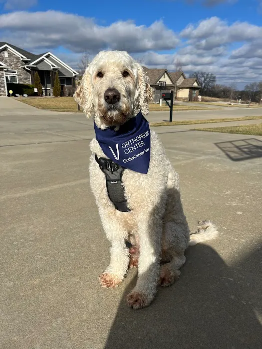 Veterinary Orthopedic Surgery Center Picture 4