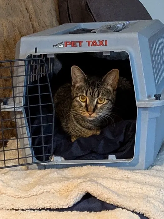 Mu College Of Veterinary Medicine Picture 1