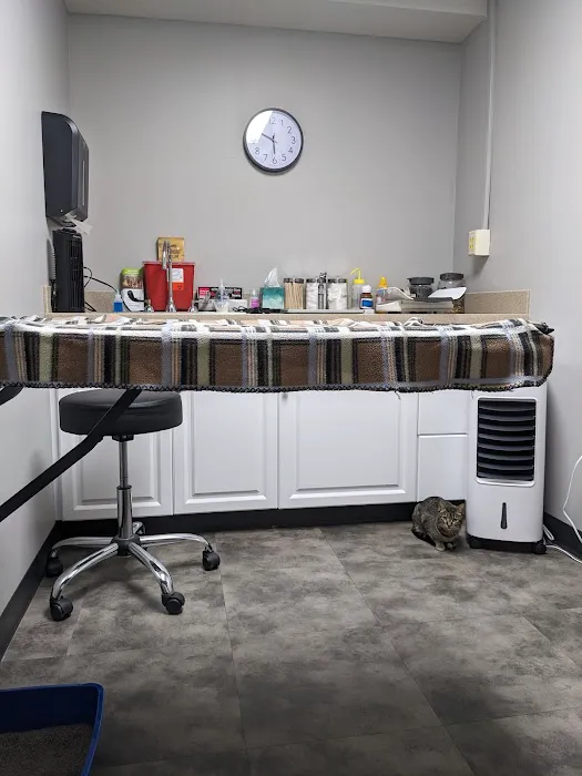 Mu College Of Veterinary Medicine Picture 6