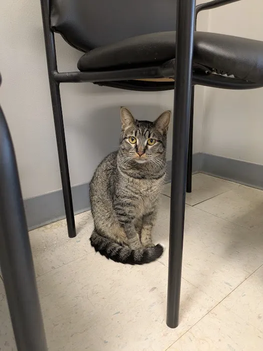 Mu College Of Veterinary Medicine Picture 5