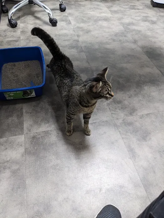 Mu College Of Veterinary Medicine Picture 4