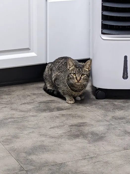 Mu College Of Veterinary Medicine Picture 3