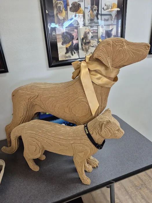 Mu College Of Veterinary Medicine Picture 7