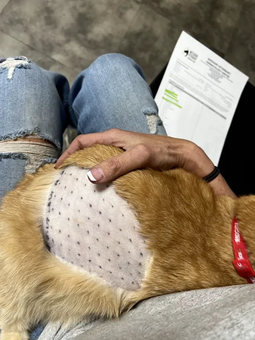 Mu College Of Veterinary Medicine Picture 8