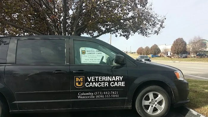 Mizzou Animal Cancer Center Picture 2