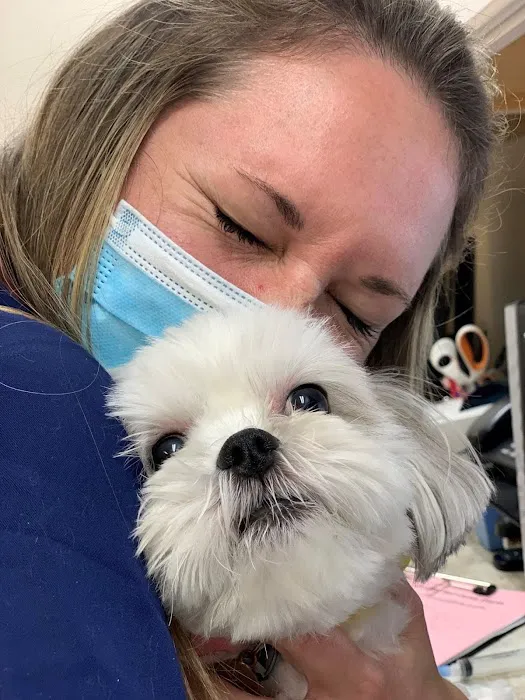 Missouri Veterinary Dermatology Center Picture 8