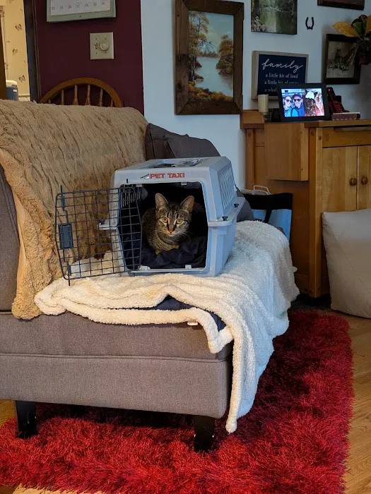 University of Missouri Veterinary Health Center at Wentzville Picture 1