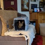 University of Missouri Veterinary Health Center at Wentzville