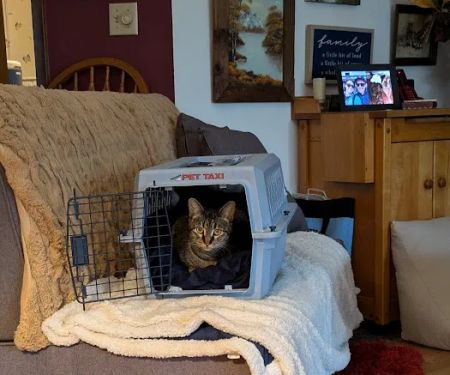 University of Missouri Veterinary Health Center at Wentzville