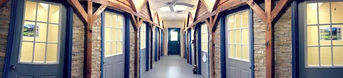 PAH's Salty Dog Picture 2