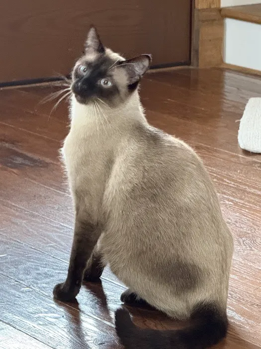 PAH's Salty Dog Picture 1