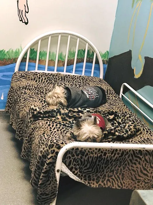 PAH's Salty Dog Picture 7