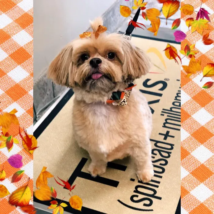 PAH's Salty Dog Picture 9