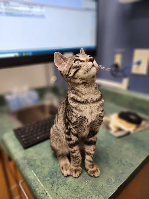 Pacific Animal Hospital Picture 1