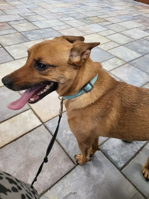 Pacific Animal Hospital Picture 3