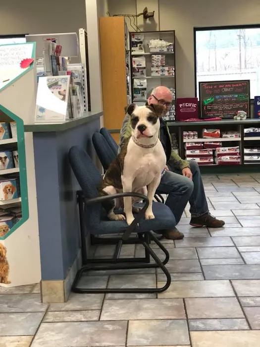 Pacific Animal Hospital Picture 7