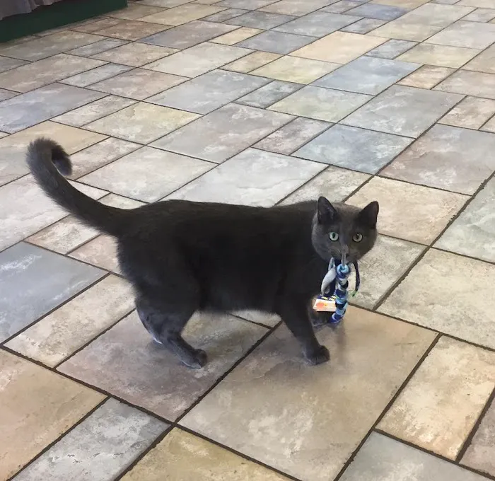 Pacific Animal Hospital Picture 9