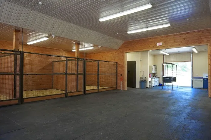 Homestead Veterinary Hospital: Dr. Mark Cassells Picture 2