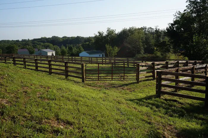 Homestead Veterinary Hospital: Dr. Mark Cassells Picture 3