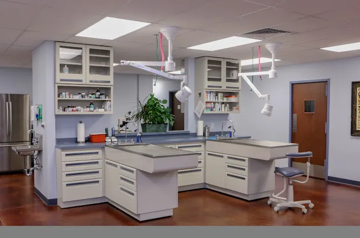 Homestead Veterinary Hospital: Dr. Mark Cassells Picture 4