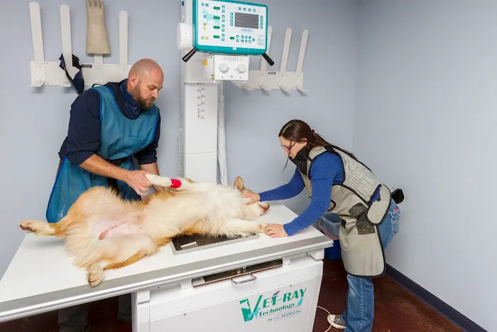 Homestead Veterinary Hospital: Dr. Mark Cassells Picture 5