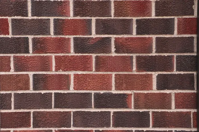 Homestead Veterinary Hospital: Dr. Mark Cassells Picture 10