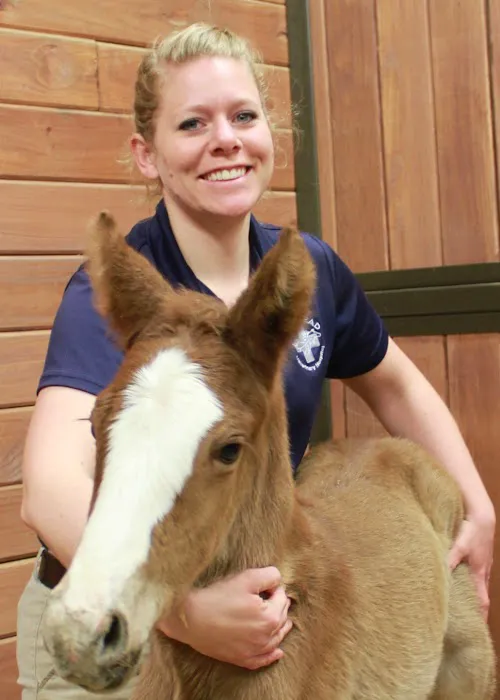 Homestead Veterinary Hospital: Dr. Mark Cassells Picture 9