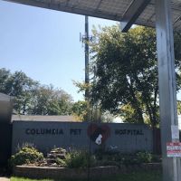 R Veterinary at Columbia ico