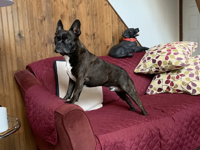 R Veterinary at Columbia Picture 4