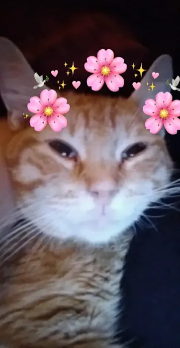 R Veterinary at Columbia Picture 3