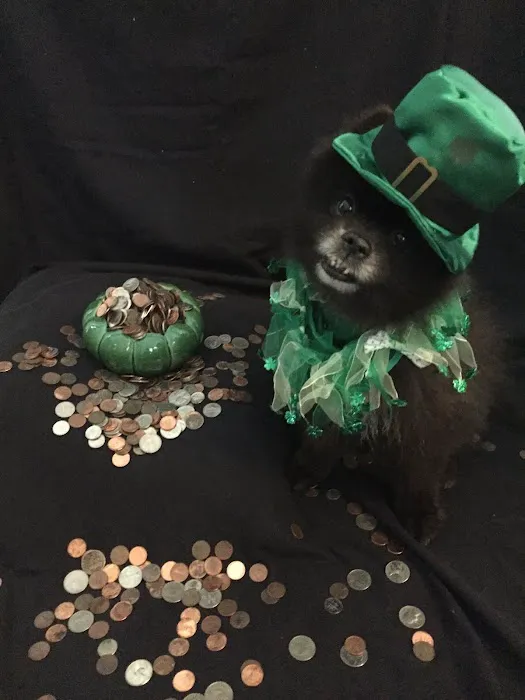 R Veterinary at Columbia Picture 5