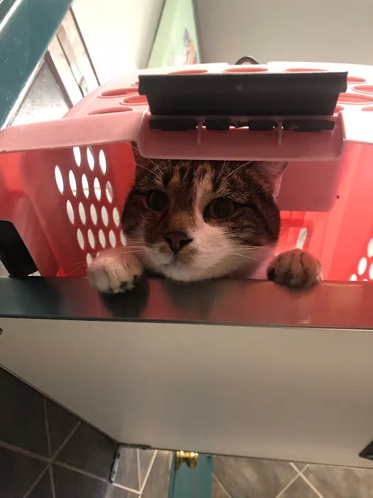 R Veterinary at Columbia Picture 7