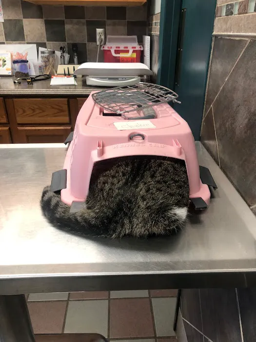 R Veterinary at Columbia Picture 9