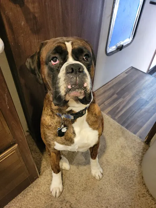 Rolling Hills Veterinary Hospital Picture 3