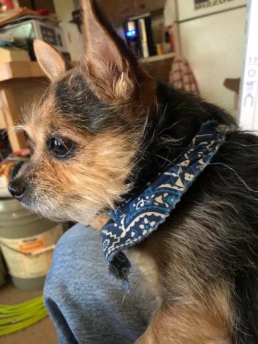 Rolling Hills Veterinary Hospital Picture 1