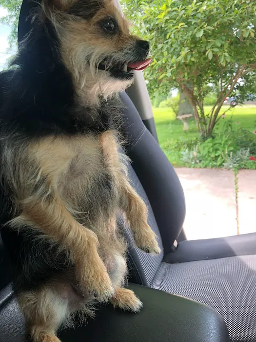 Rolling Hills Veterinary Hospital Picture 2