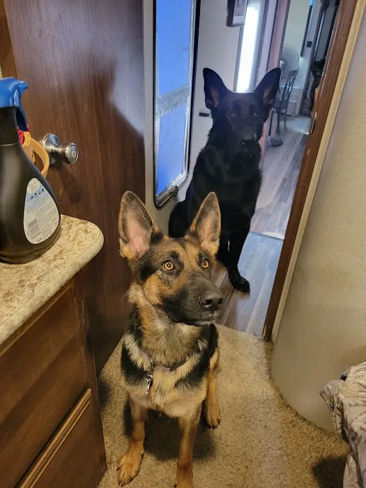 Rolling Hills Veterinary Hospital Picture 4